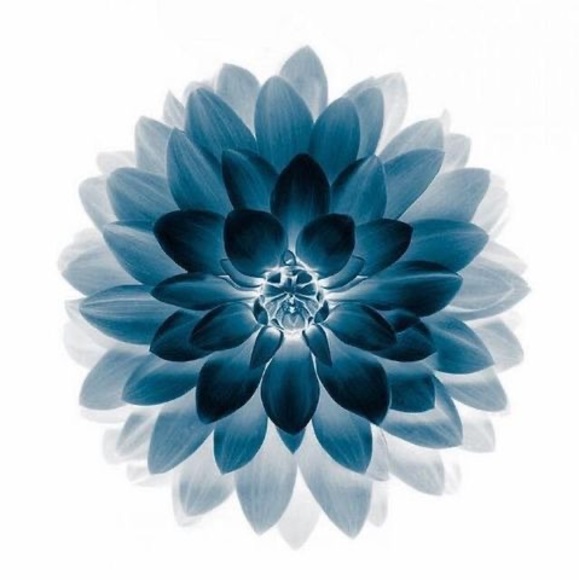 Meet your Posher, Minhaj - Picture 1 of 1